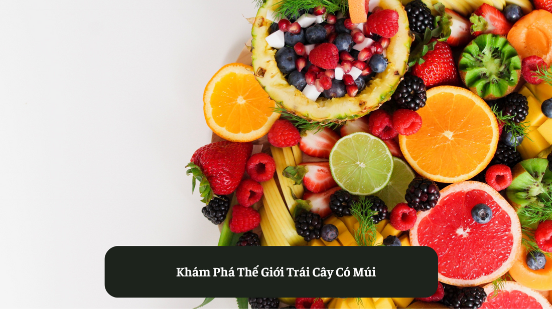 Khám Phá Thế Giới Trái Cây Có Múi Eat Clean VN