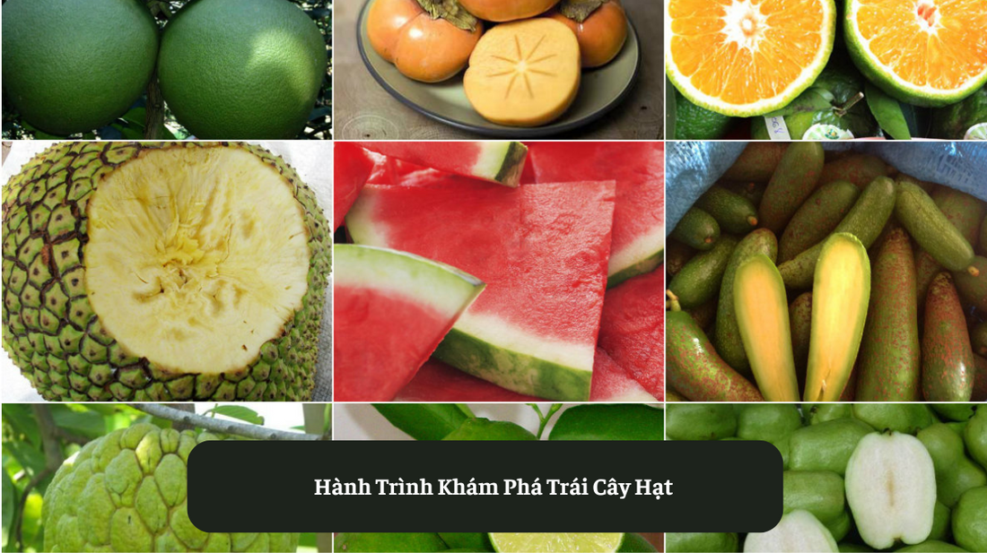 Hành Trình Khám Phá Trái Cây Hạt Eat Clean VN