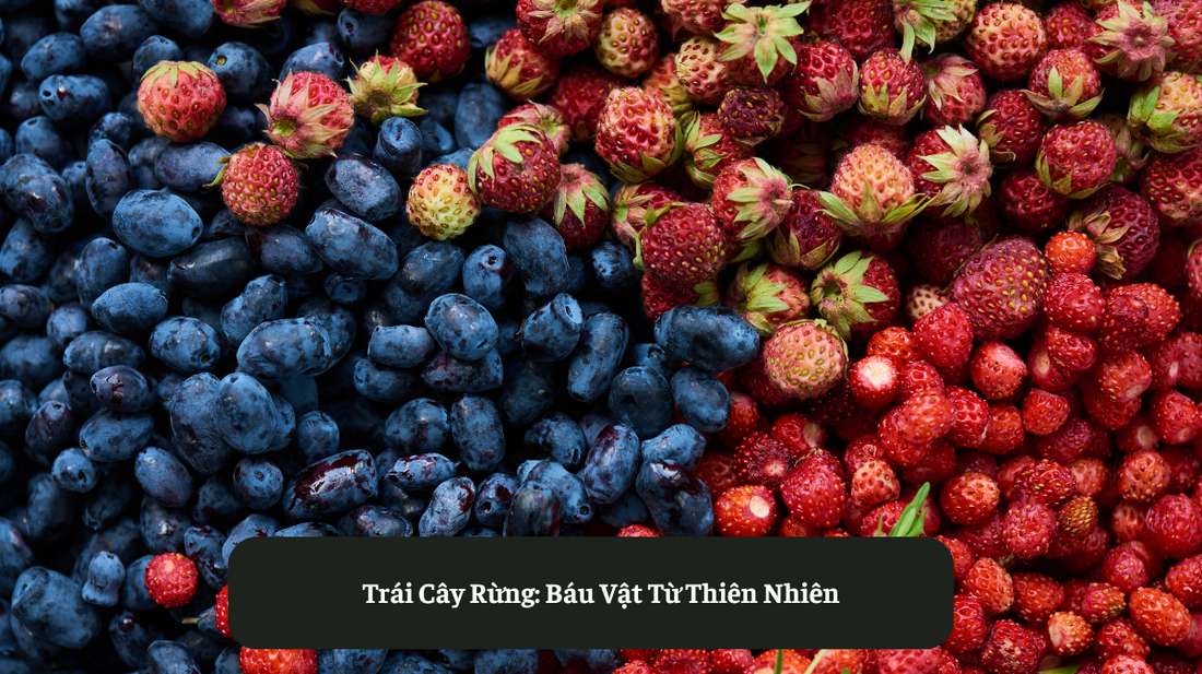 Trái Cây Rừng: Báu Vật Từ Thiên Nhiên Eat Clean VN
