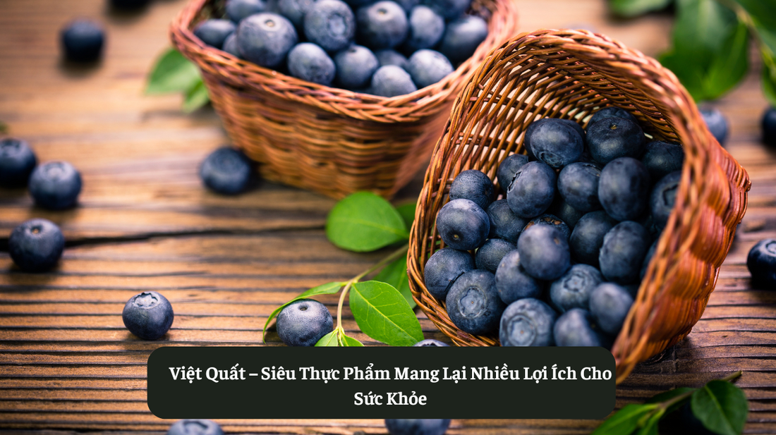 Việt Quất – Siêu Thực Phẩm Mang Lại Nhiều Lợi Ích Cho Sức Khỏe