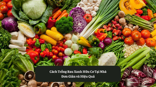 Cách Trồng Rau Xanh Hữu Cơ Tại Nhà Đơn Giản và Hiệu Quả Eat Clean VN