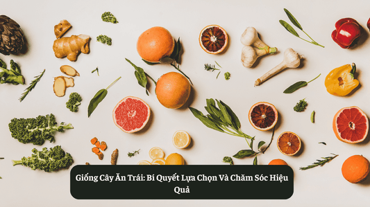 Giống Cây Ăn Trái: Bí Quyết Lựa Chọn Và Chăm Sóc Hiệu Quả Eat Clean