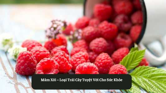 Quả Mâm Xôi – Loại Trái Cây Tuyệt Vời Cho Sức Khỏe Eat Clean VN