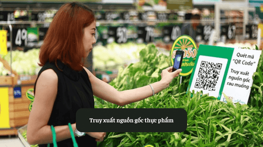 Quy trình truy xuất nguồn gốc thực phẩm chi tiết dành cho bạn Eat Clean VN