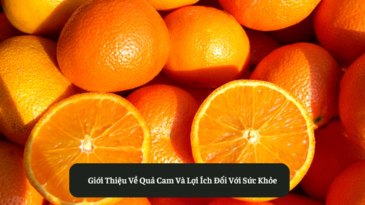 Giới Thiệu Về Quả Cam Và Lợi Ích Đối Với Sức Khỏe Eat Clean VN