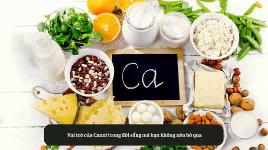 Vai trò của Canxi trong đời sống mà bạn không nên bỏ qua Eat Clean VN