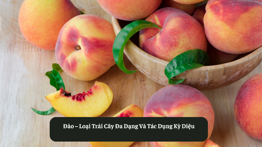 Đào – Loại Trái Cây Đa Dạng Và Tác Dụng Kỳ Diệu Eat Clean VN