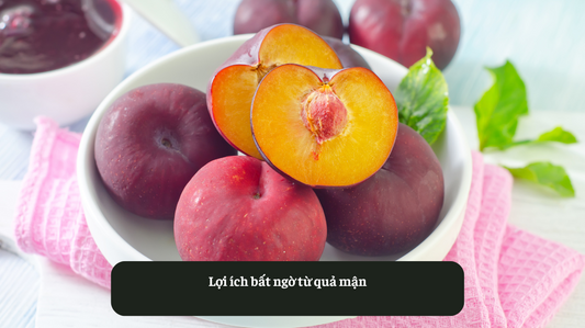 Lợi ích bất ngờ từ quả mận Eat Clean VN