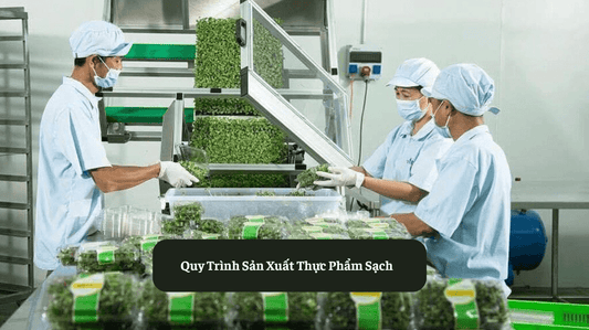 Quy Trình Sản Xuất Thực Phẩm Sạch Đúng Cách Eat Clean VN