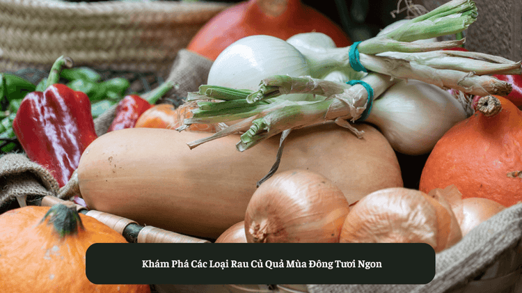 Khám Phá Các Loại Rau Củ Quả Mùa Đông Tươi Ngon – Eat Clean VN
