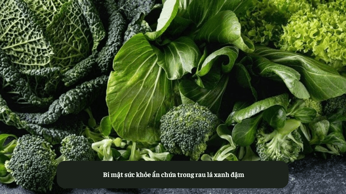 Bí mật sức khỏe ẩn chứa trong rau lá xanh đậm – Eat Clean VN