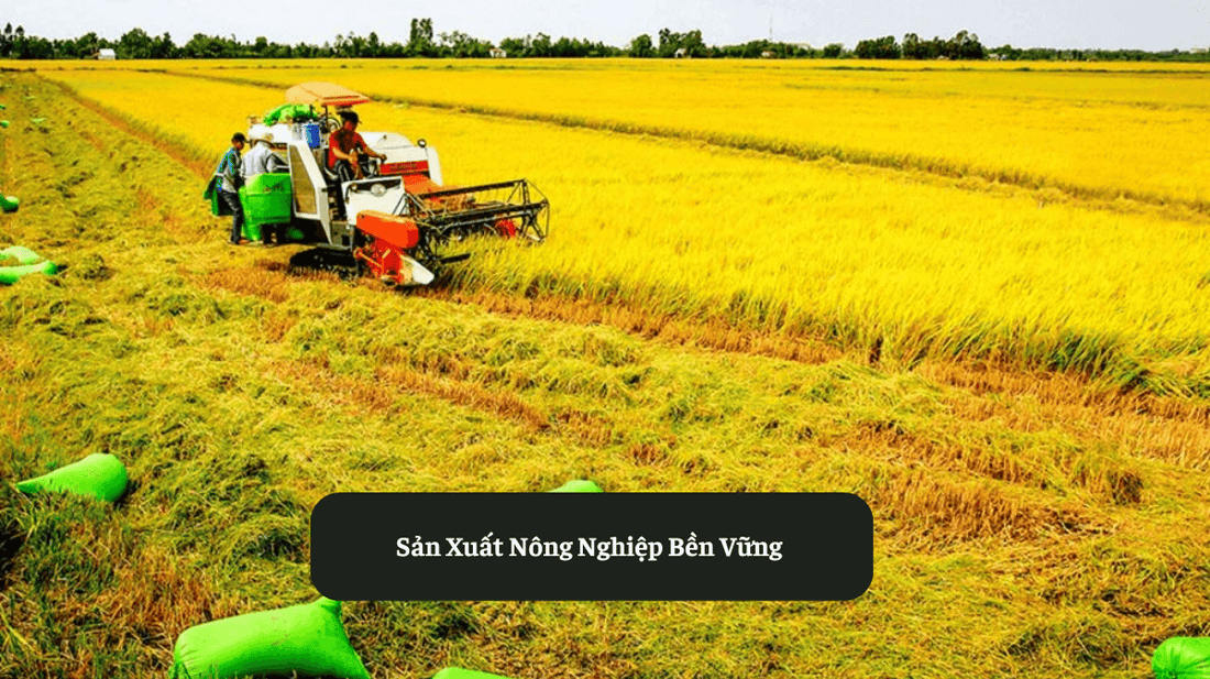 Vai Trò Của Nền Nông Nghiệp Bền Vững Eat Clean VN