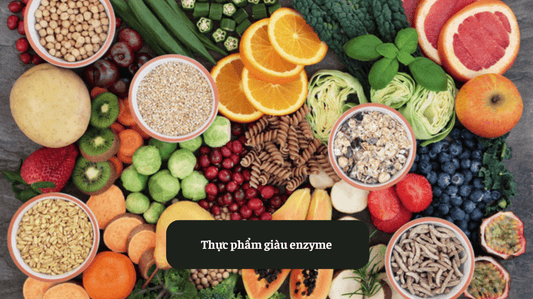 Top Các Loại Thực Phẩm Giàu Enzyme Tự Nhiên Eat Clean VN