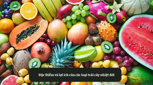 Đặc Điểm và lợi ích của các loại trái cây nhiệt đới Eat Clean VN